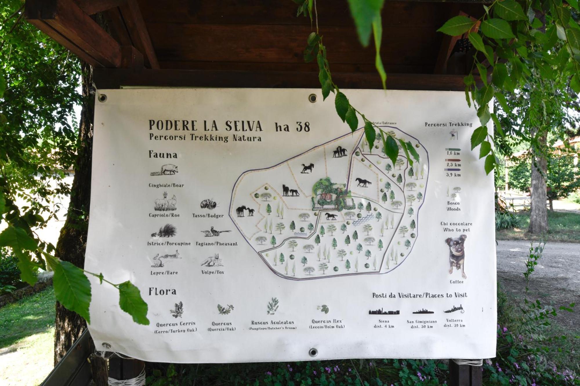 Agriturismo La Selva Villa Siena Exterior photo